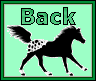 appaloosa back sign