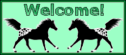 appaloosa welcome sign