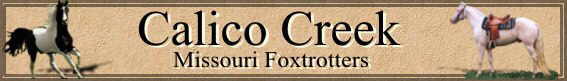 Calico Creek Foxtrotters