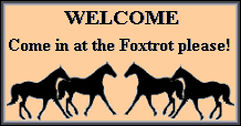 foxtrotter welcome sign