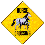 horse crossing