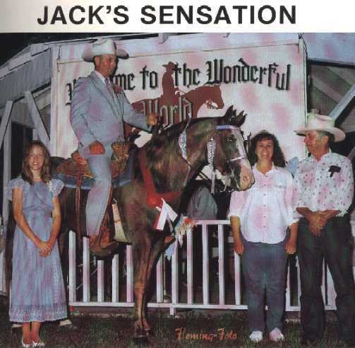 Jack's Sensation H