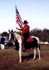 Reeves' Sandy - black & white tobiano