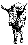 longhorn