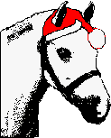 Pony in Santa Hat