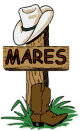 Cowboy Western Mares Sign