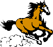 horse