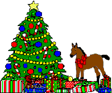 Xmas Tree, Bay Foal & Presents