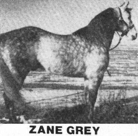 Zane Grey